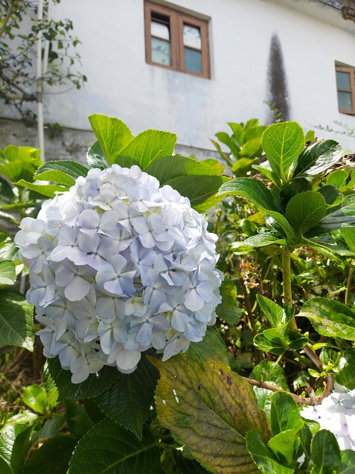 Amman Resorts 코다이카날 외부 사진